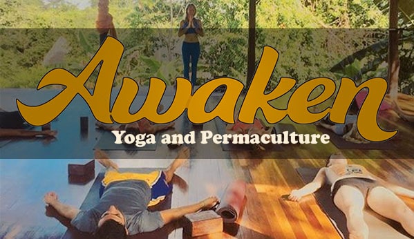 Yoga and Permaculture Retreat