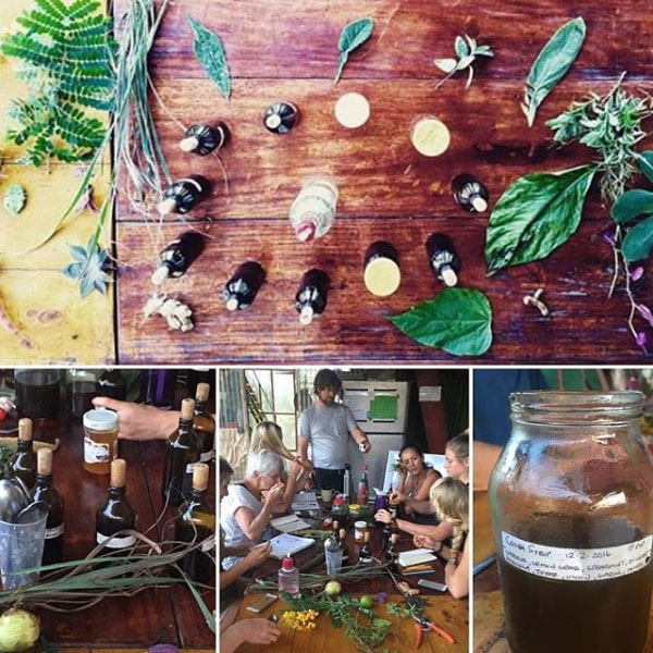 Herbal medicine making class